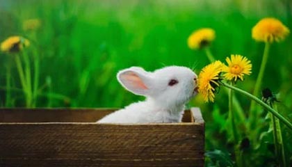 九游（jiuyou.com）游戏-里尔队球员积极备战，渴望取得连胜，里尔球员转会