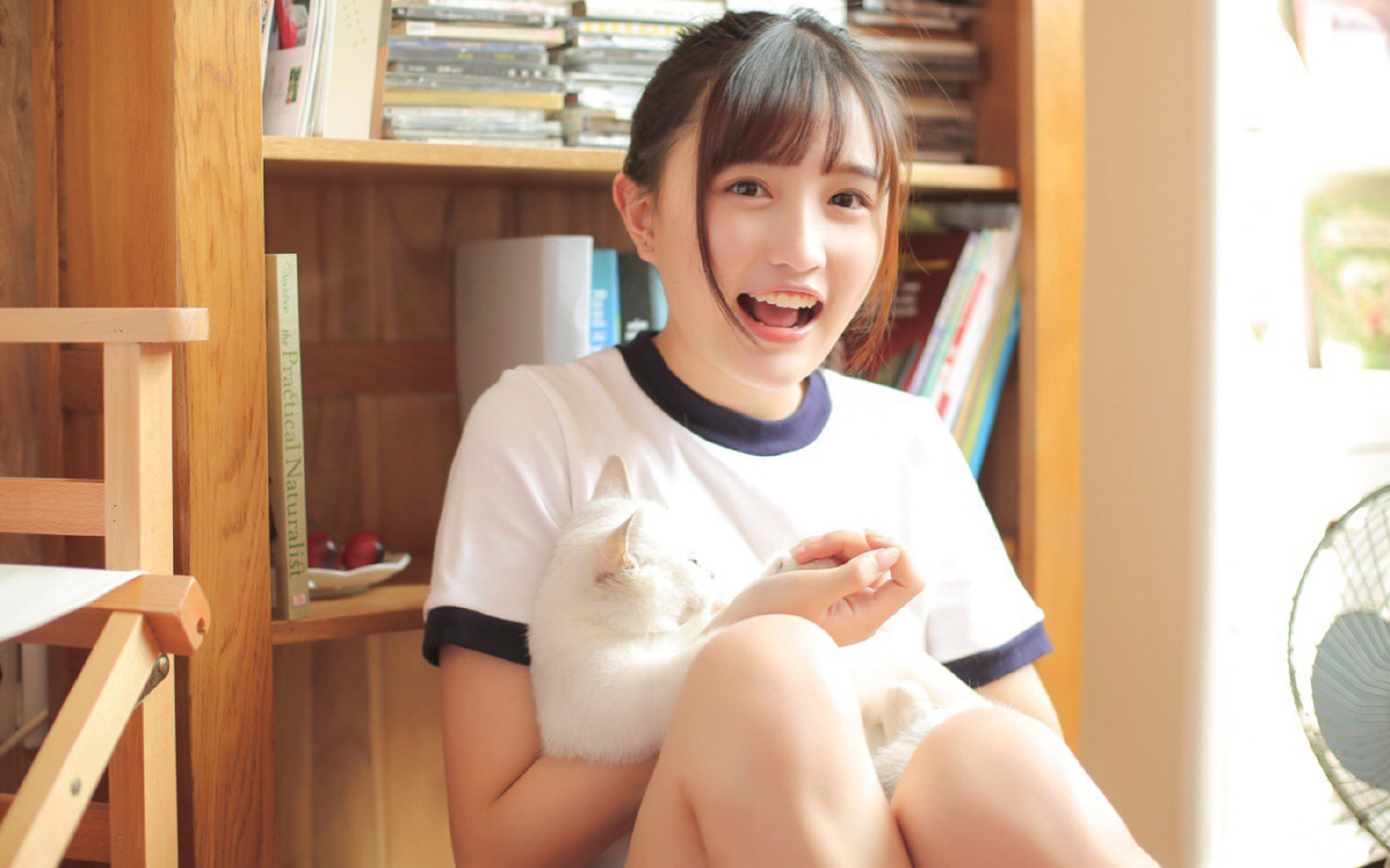 世界障碍赛跑挑战赛,极速越障彰显勇气,障碍跑冠军是谁