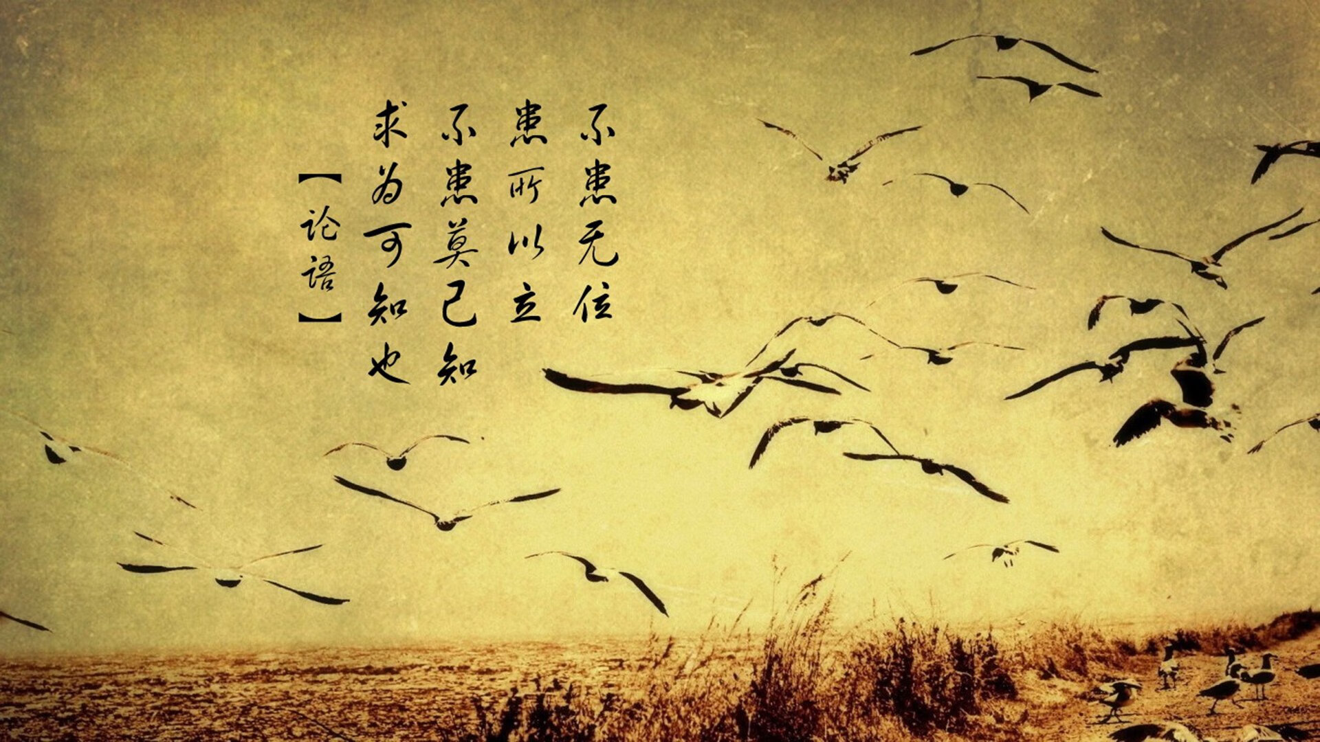 大数据分析：数据帮你看懂比赛战局，赛事数据分析