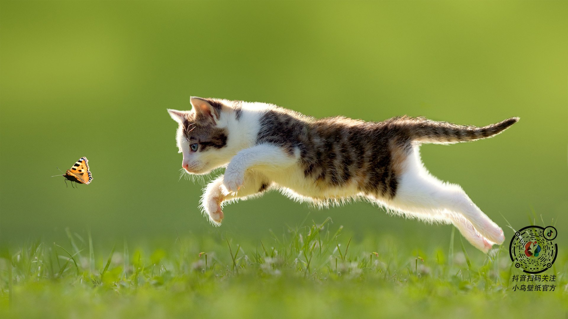 裁判员贪腐案曝光，涉案金额巨大，2021裁判员