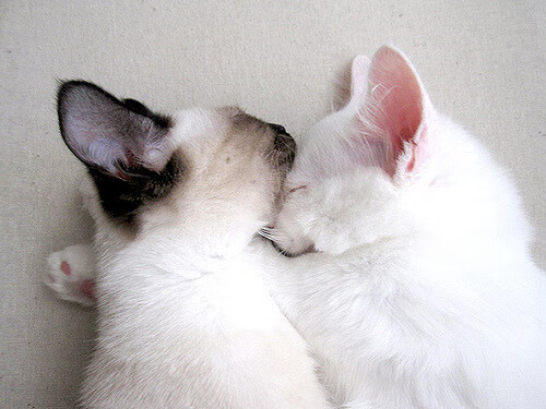 EDG锁定季后赛席位,edg还有机会进季后赛吗