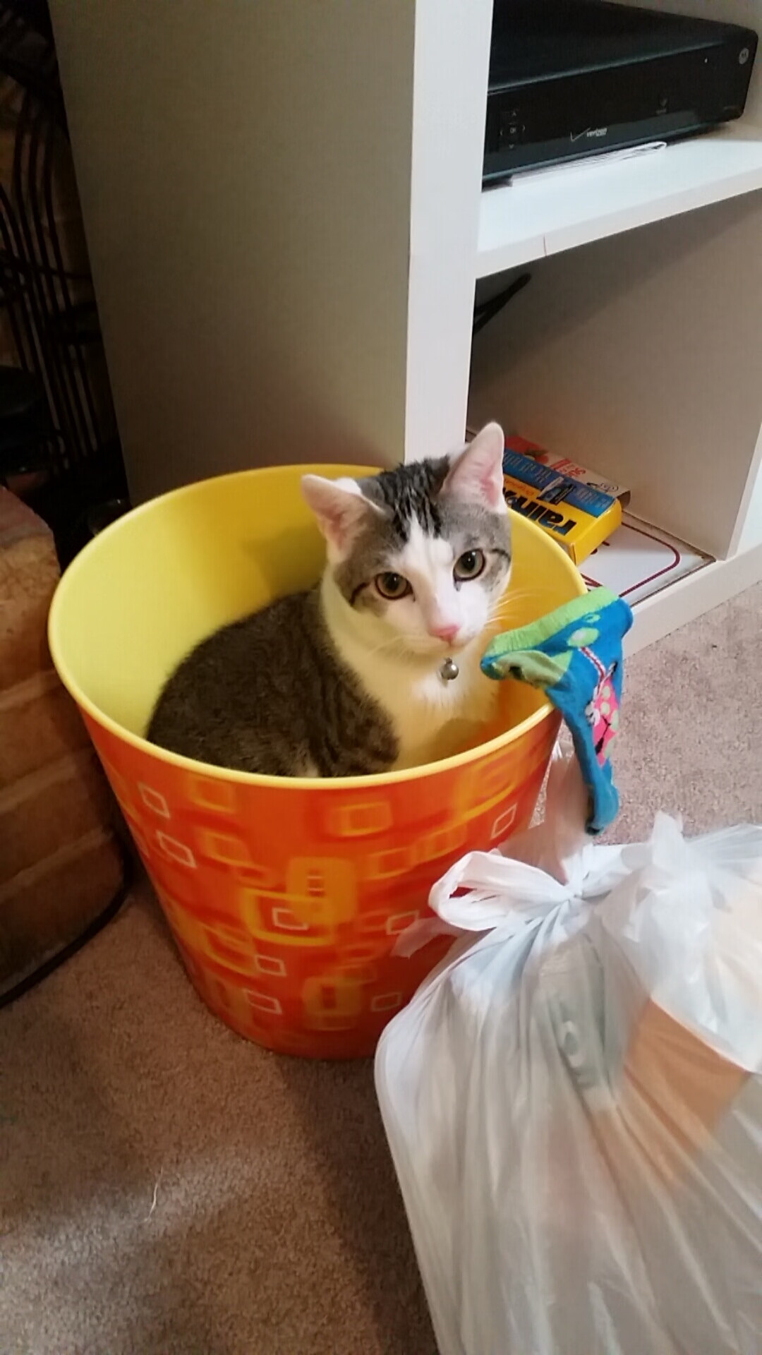 Jiu You-创纪录橄榄球传球次数刷新联盟数据，橄榄球传球教学视频