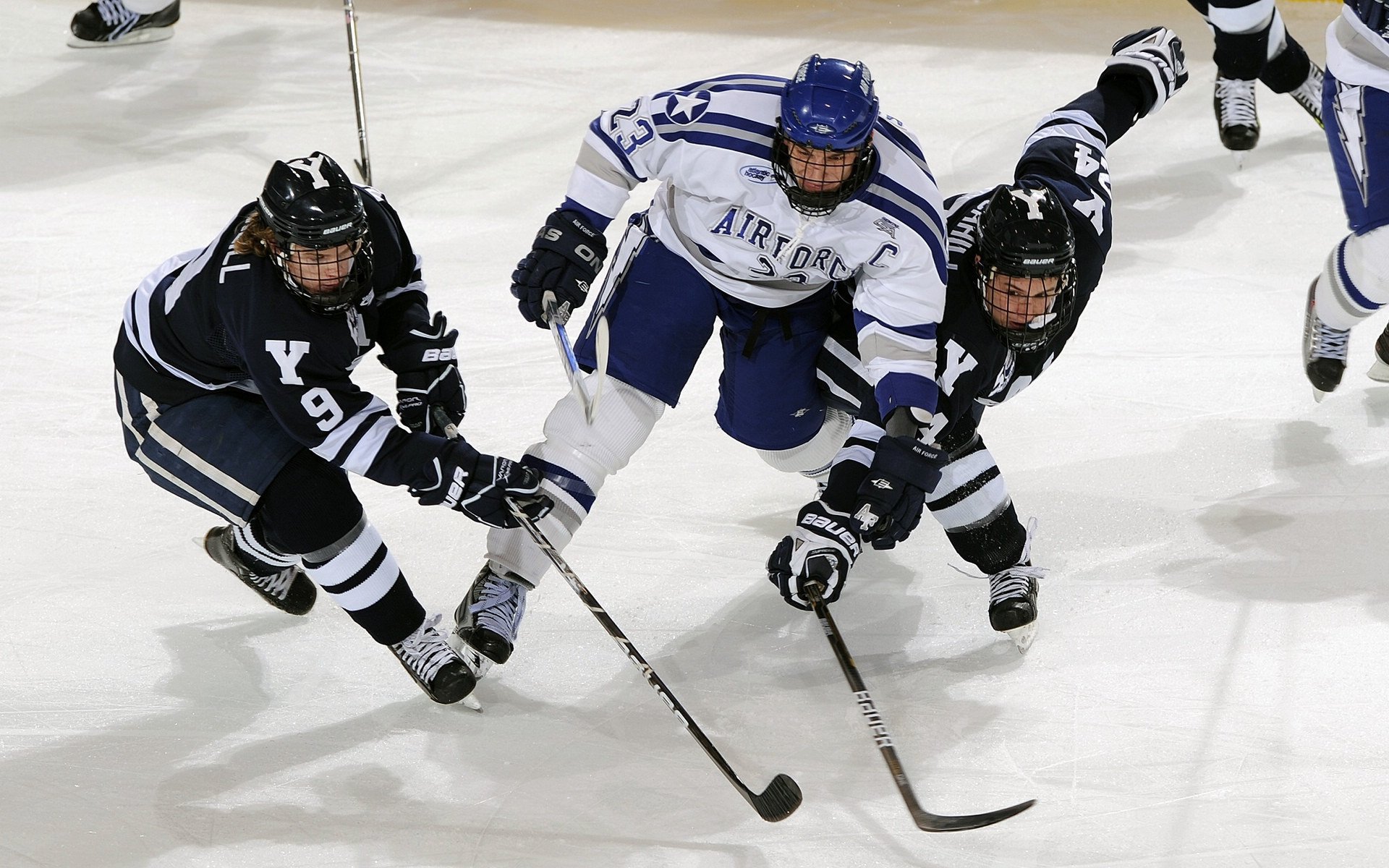 弗拉门戈新赛季开局强劲，弗拉门戈vs