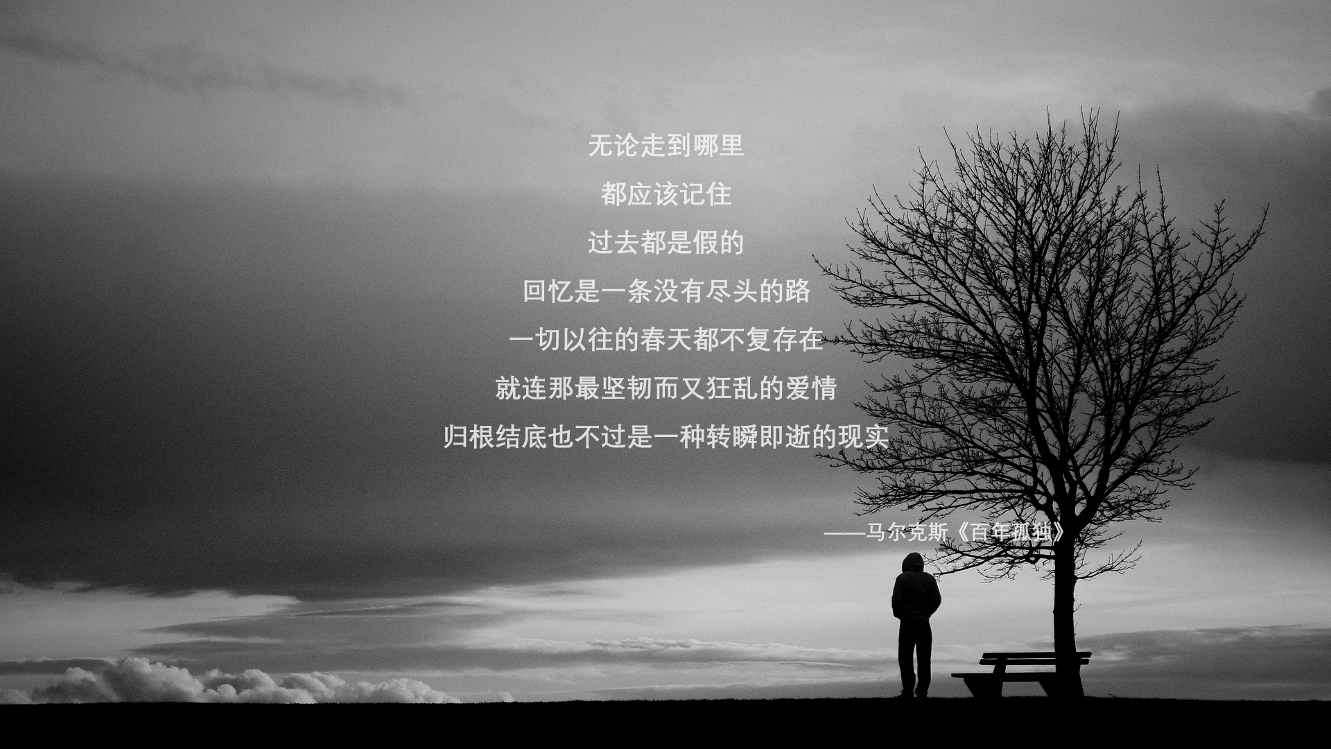 弗拉门戈与帕尔梅拉斯焦点大战,弗拉门戈vs帕尔梅