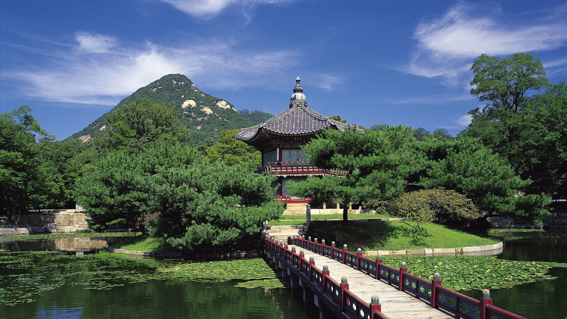 库兹马诺维奇在巴黎奥运会手球比赛中屡次扑救对方单刀球，库兹马首发