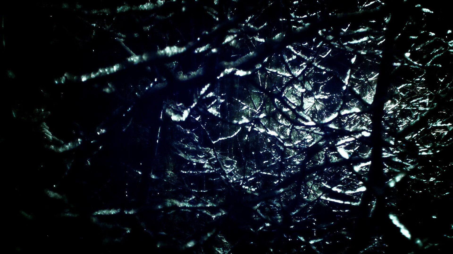 莱比锡球员状态火热，莱比锡换帅