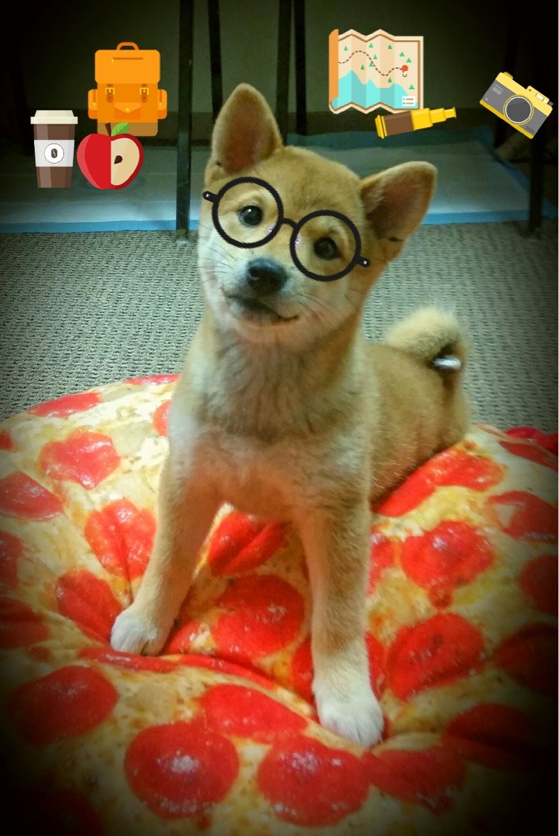 中国篮球职业俱乐部财务管理风险防控研究,篮球俱乐部管理层组织架构