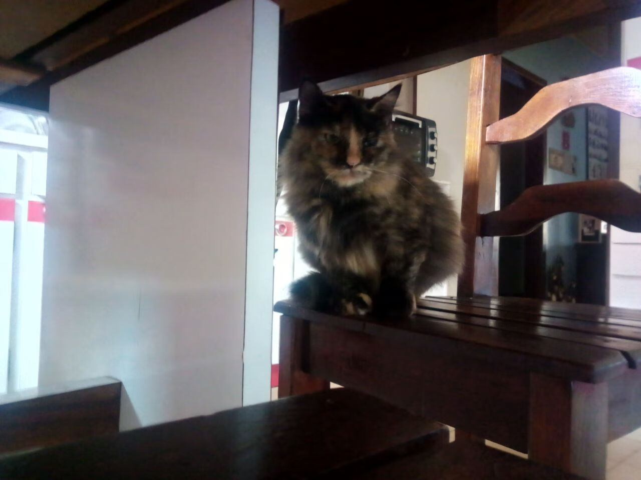 中国足球比赛场面控制指数分析,中国足球场次