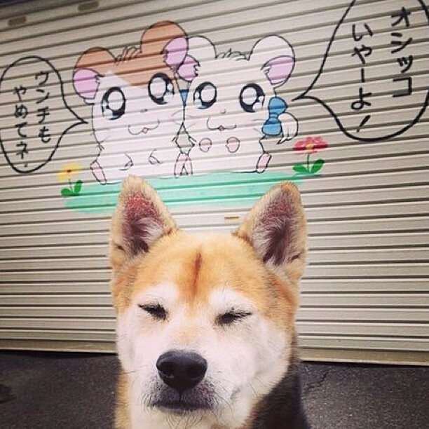 体育政策法规实施反馈与调整建议，体育政策法规实施反馈与调整建议怎么写