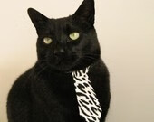 国足中前场串联次数与控场评分，国足中前场串联次数与控场评分对比