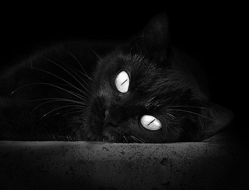 德甲球队高强度对抗中体能消耗与技术失误关系研究,德甲体能测试