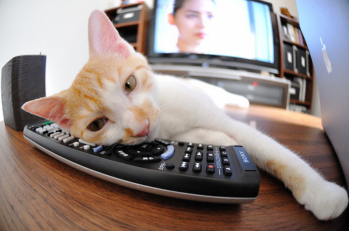 九游app下载中心-新闻中心展示创新产品成果，创新成果展示 展板