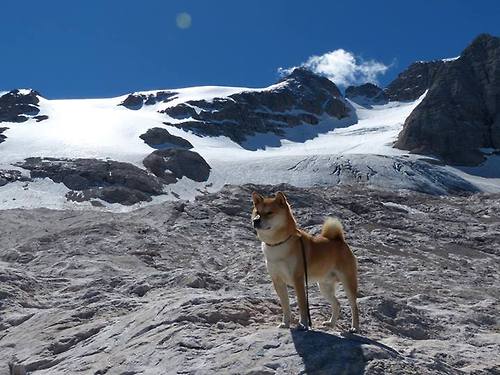 篮球运动员专项体能训练技术与监控体系，篮球体能系统训练计划
