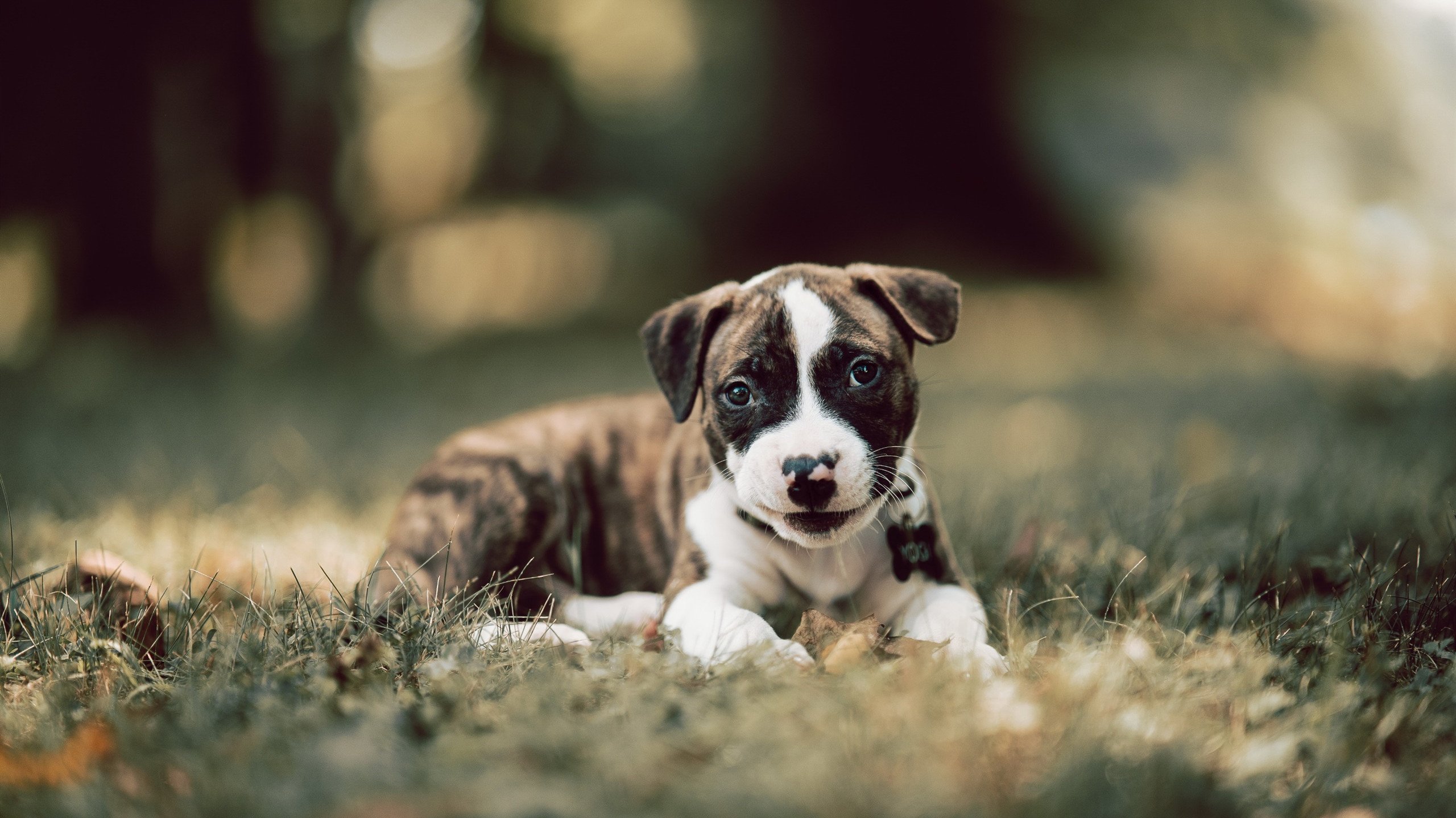 体育新闻中心启动年度运营规划，体育新闻工作