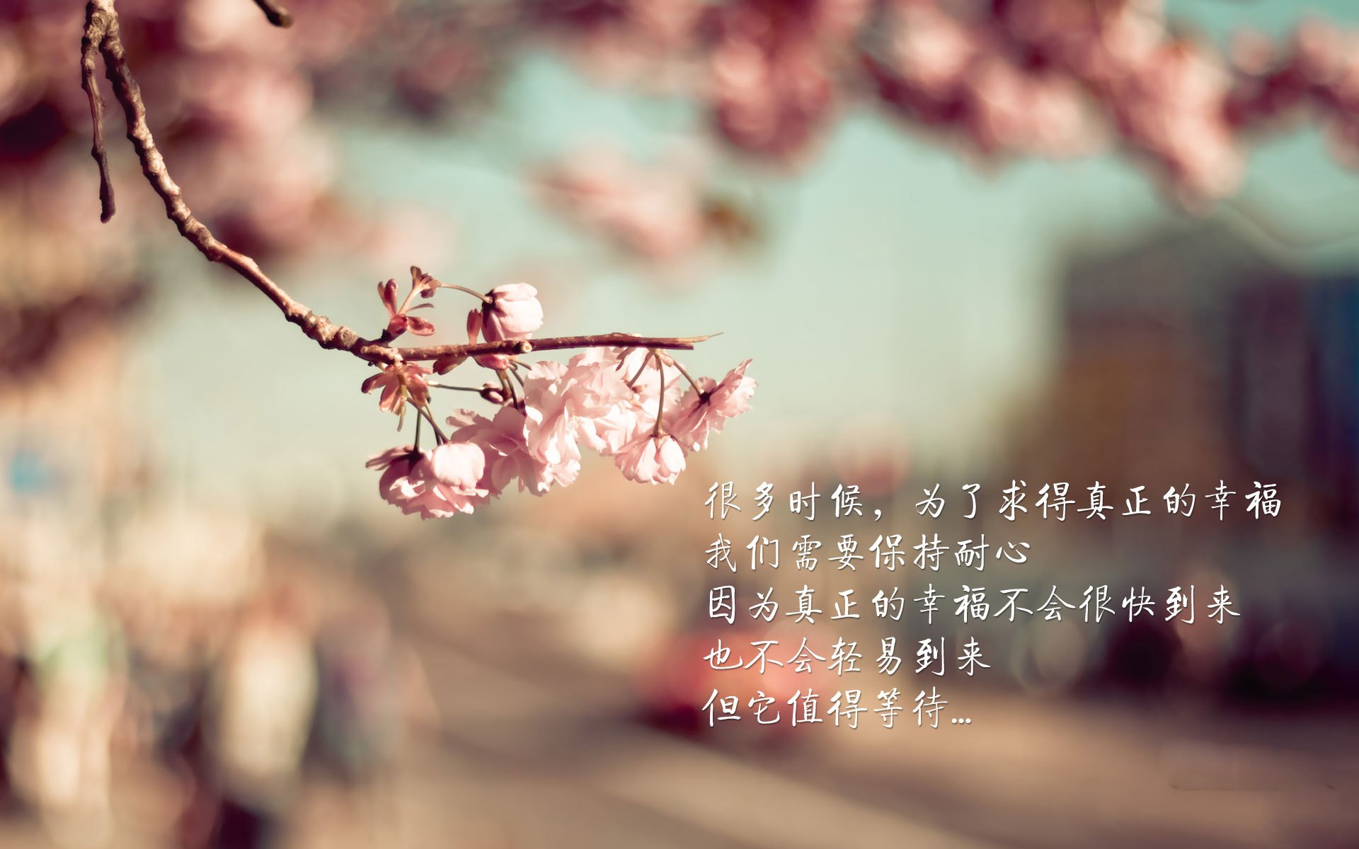 体育新闻中心深化体育短视频内容智能推荐算法,体育短视频的传播特点