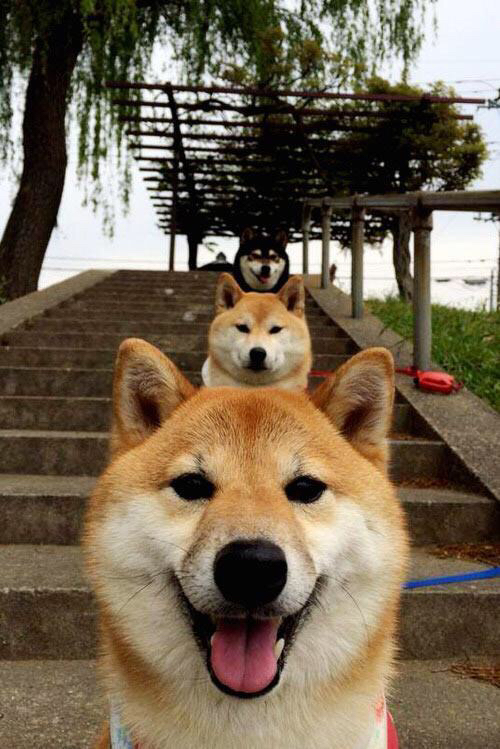 控卫是否应成为节奏重构的发起者,控卫最重要的是什么