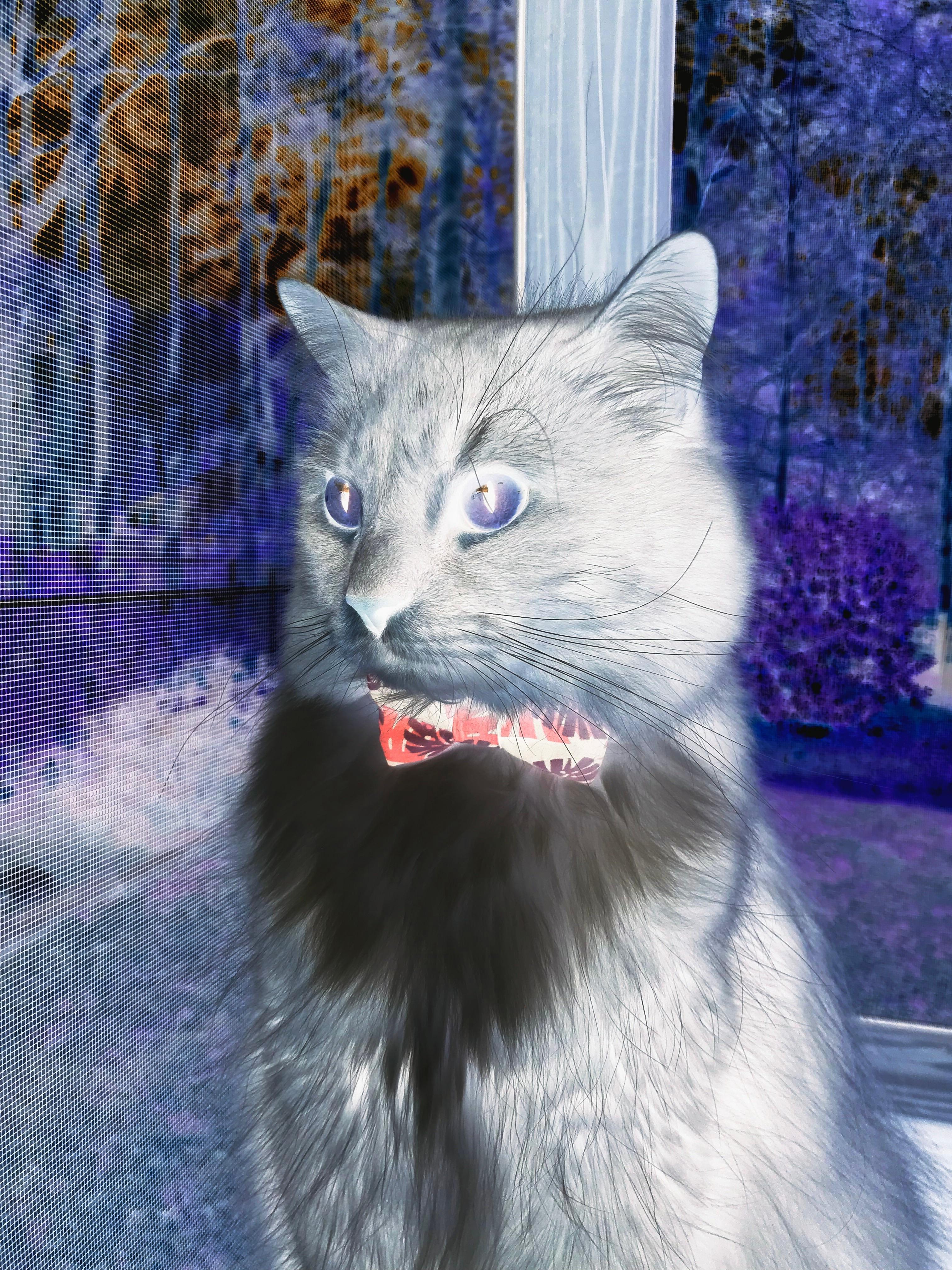 该项目选手划频稳定性提高