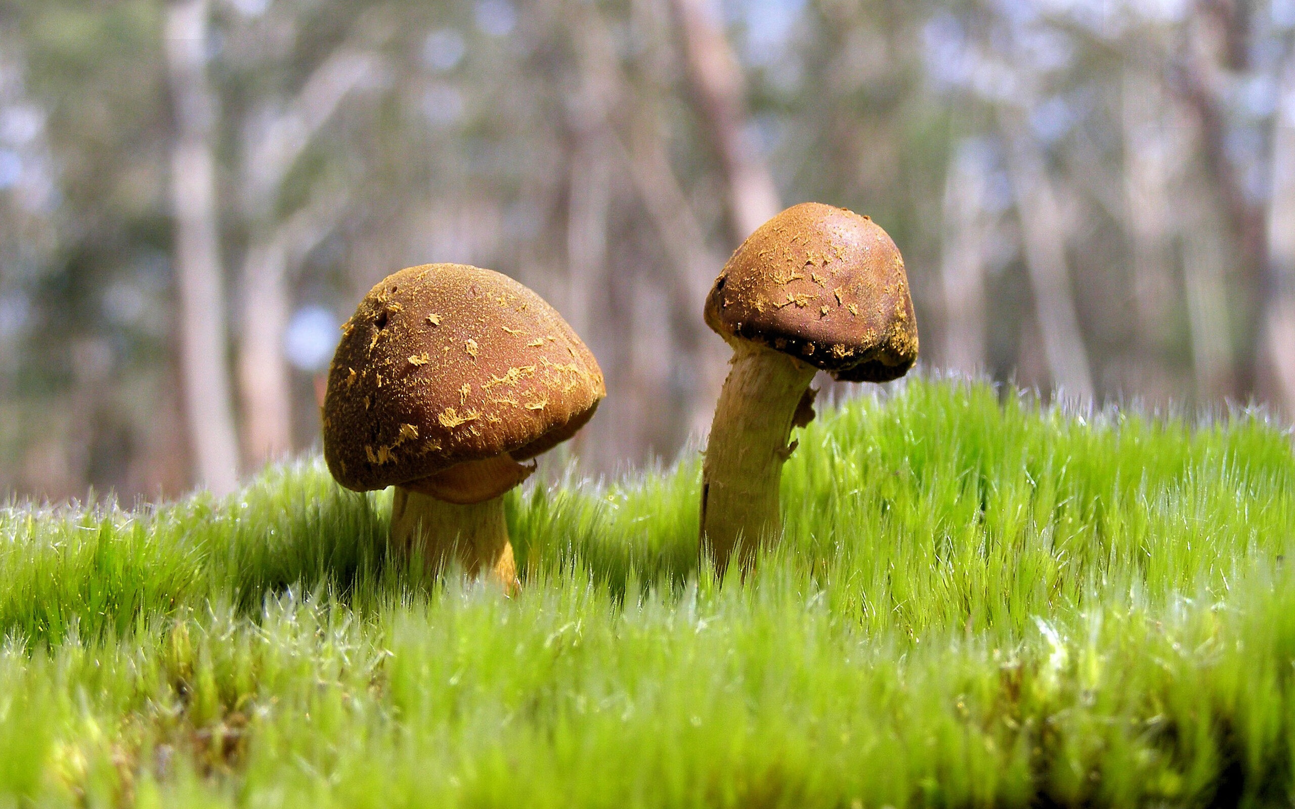 中国足球职业联赛发布俱乐部文化评估指数,中国足球产业与文化发展报告