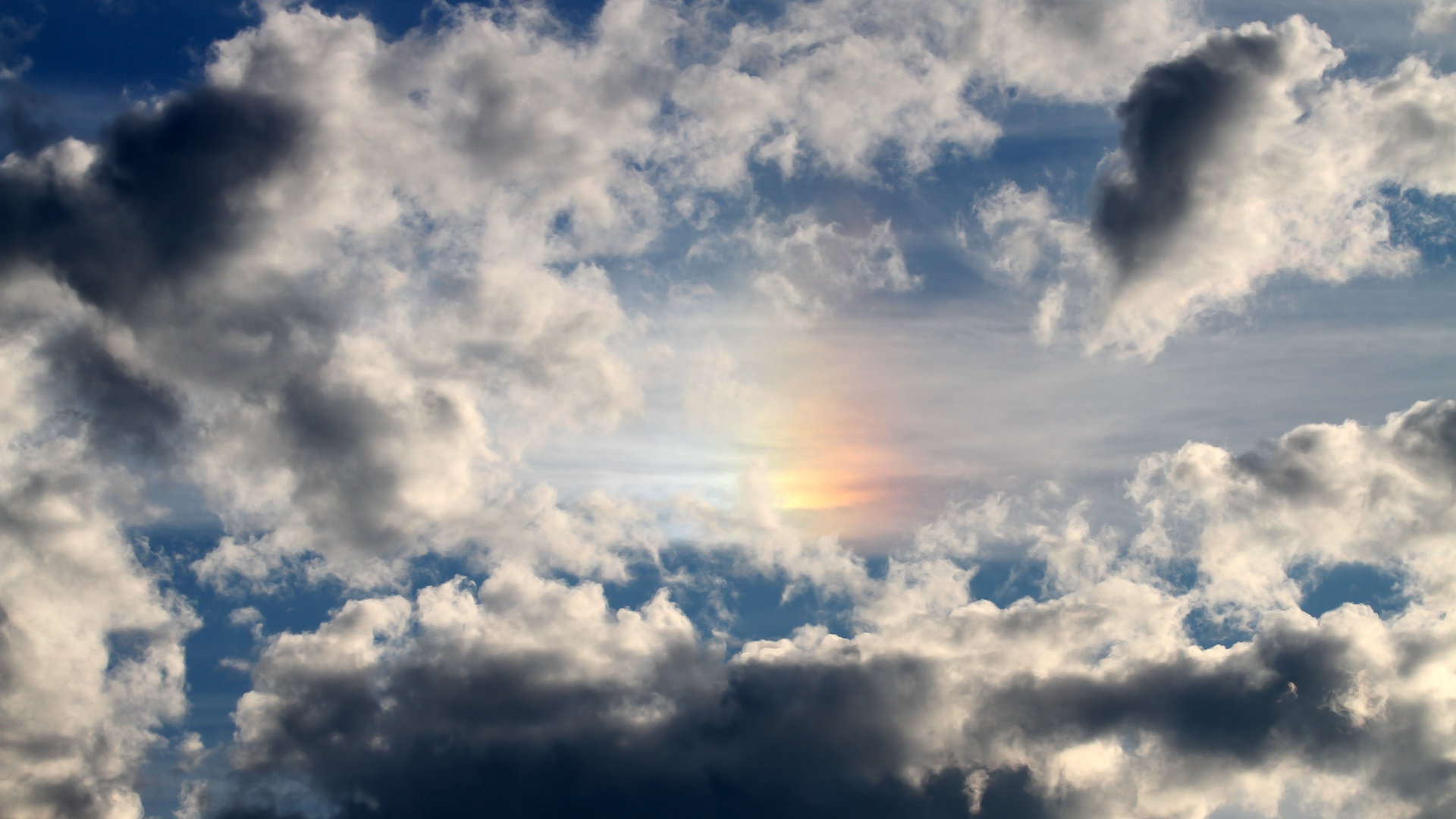 体育赛事场馆配套设施全面升级改造,体育比赛场馆服务质量规范