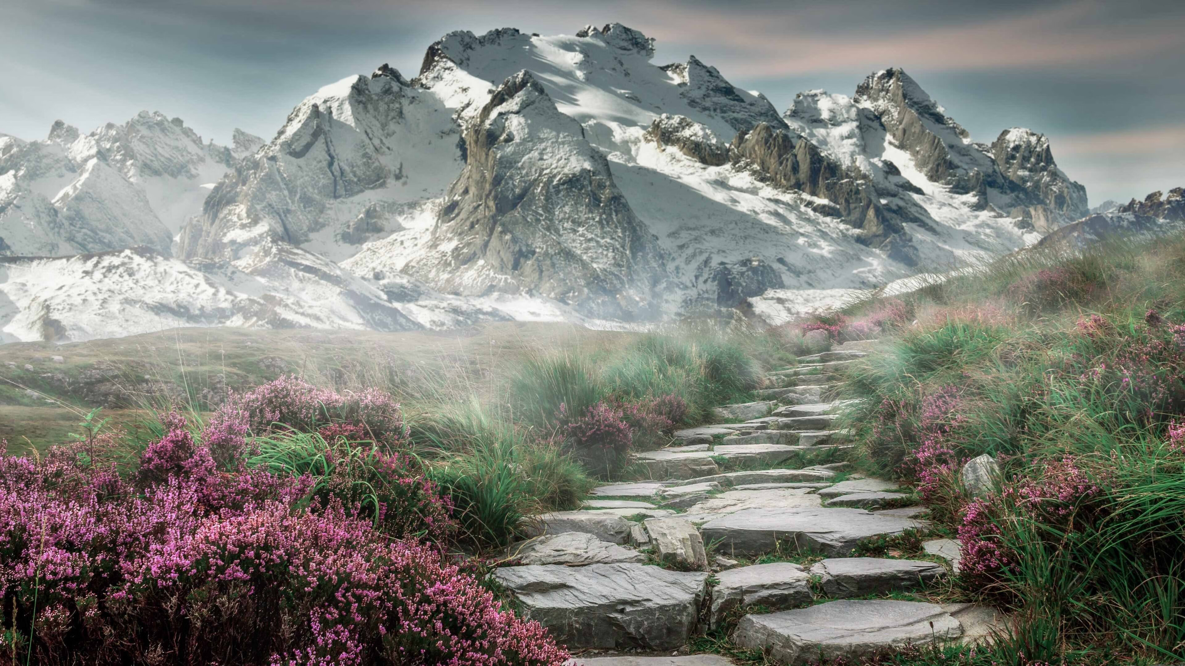 安哥拉女篮在非洲锦标赛中继续夺冠,体育事业持续加强,非洲安哥拉是哪个国家