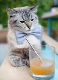 意甲个人秀:突破、防守、进球,精彩无限!,意甲球员进球排名