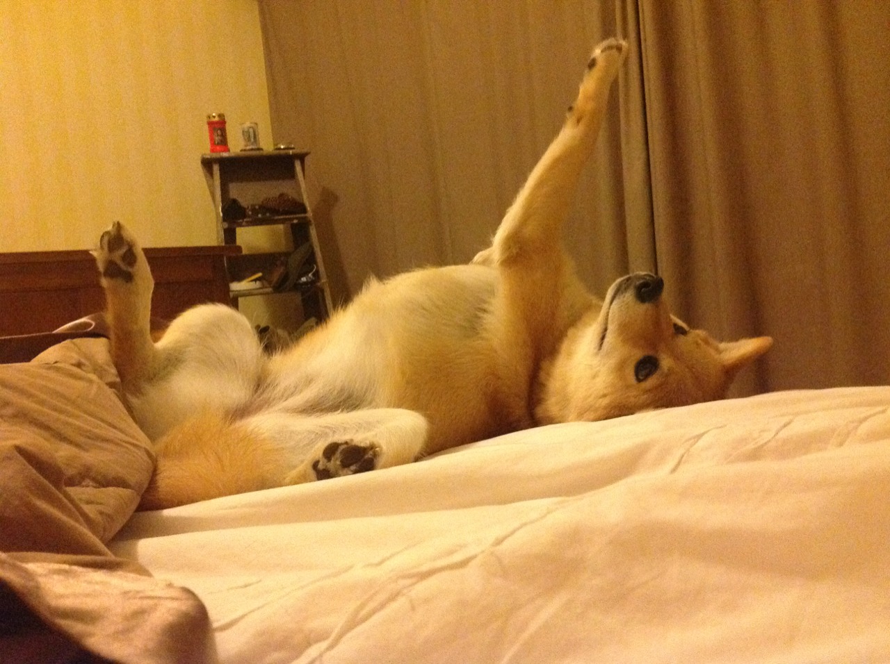 法甲激烈对抗:战术创新引燃全场,法甲对阵