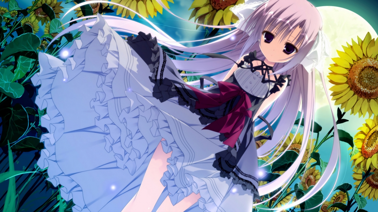 突尼斯男篮在非洲锦标赛中夺冠,迎来新黄金期